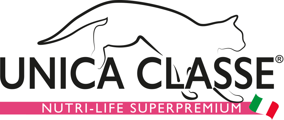 Unica Classe - First Class Physiology