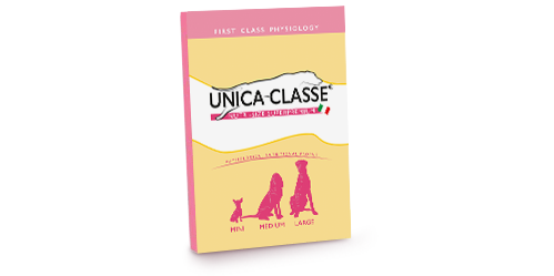 Unica Classe - First Class Physiology